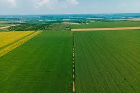 Agricultural Land