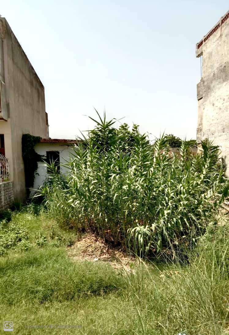 1 KANAL PLOT