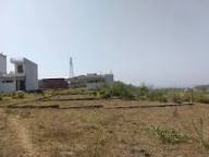 14 MARLA PLOT FOR SALE IN SECTOR 21 PANCHKULA
