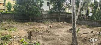 8 MARLA B-ROAD PLOT FOR SALE IN SECTOR 26 PANCHKULA